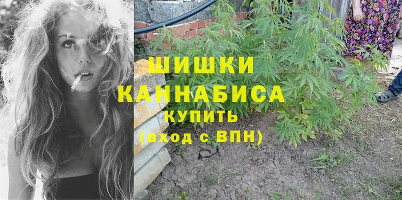 ОМГ ОМГ ссылка  Гвардейск  Каннабис OG Kush 